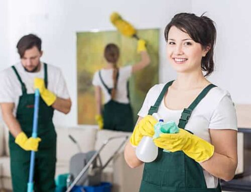 Choosing the best house cleaning service in Bayside